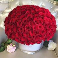 101 красная роза, цветы в светлой коробке R884