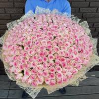 301 розовых роз, цветы в букете R922