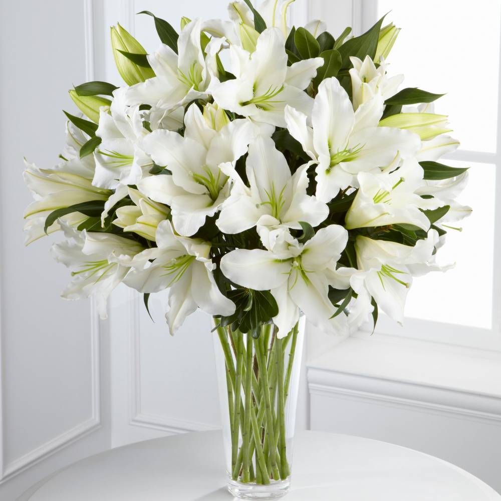 Купить лилии с доставкой. Букет "белые лилии". Лилия Trebbiano. Лилия кустовая белая. Лилия Элегант Краун.
