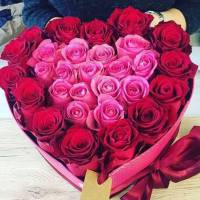 Сердце 25 красных и розовых роз R92